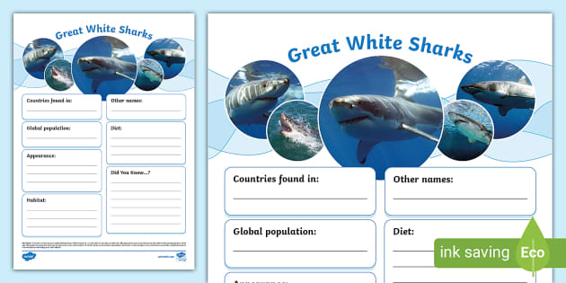 Great White Sharks Fact File Template (Teacher-Made)