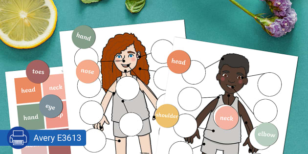 Human Body Labels - Stickers Activity for Classroom - Twinkl