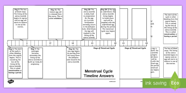 Sex And Relationships Education Menstruation Timeline Worksheet Worksheet
