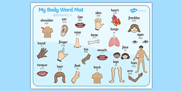 Mat на русском языке. Body Parts in Chinese. Mat английский. Body Parts. Лист my body.