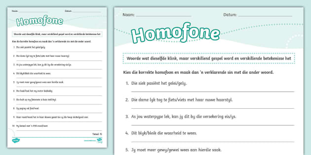 Homofone Aktiwiteit (Hecho por educadores) - Twinkl