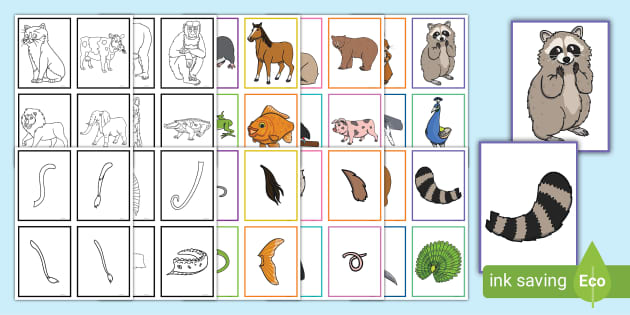 Animal Tails Matching Cards Game - Twinkl Games and Activities