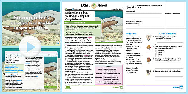 World's Biggest Amphibian Reading Comprehension | NewsRoom