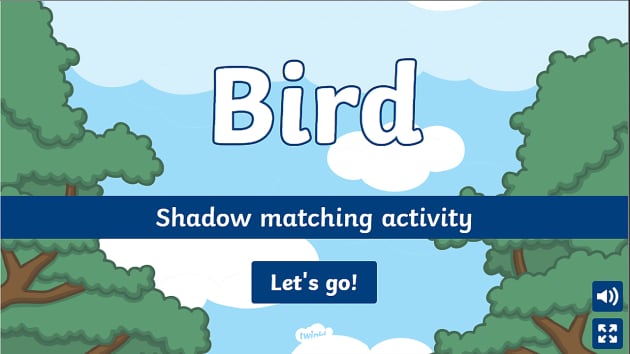 bird-shadow-matching-activity