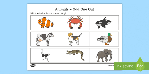 Black and White Animals Odd One Out Sheet - Verbal Reasoning
