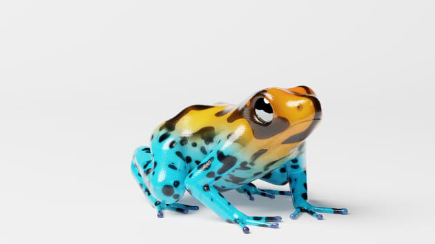 Augmented reality 3D model of a frog.
