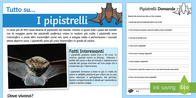 I Pipistrelli Lettura Comprensiva (Teacher-Made) - Twinkl