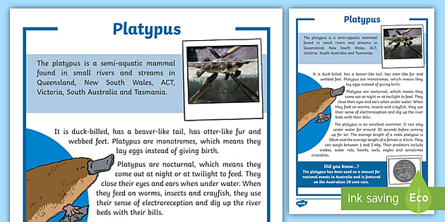 platypus facts reddit