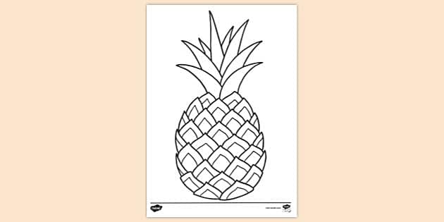 easy to draw a pineapple｜TikTok Search