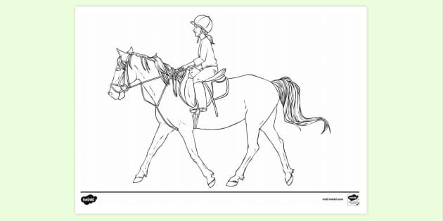 Discover more than 122 horse riding drawing best
