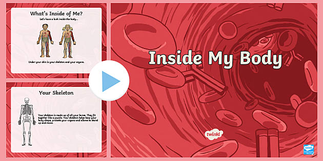 Inside My Body PowerPoint (teacher made) - Twinkl