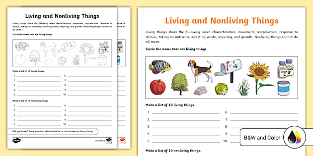 Living and Nonliving Things Worksheets | Twinkl - Twinkl