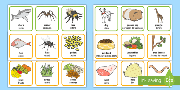 Animals and What They Eat Matching Cards English/Romanian - Animals and What