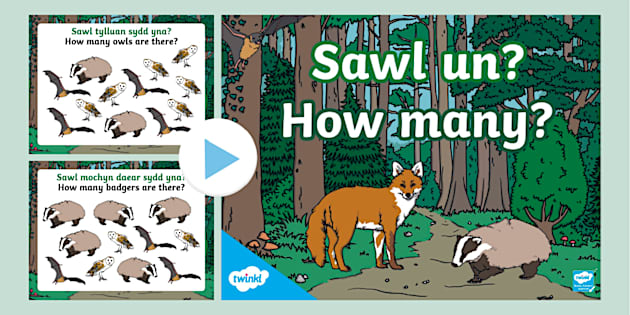 Learn Welsh: Counting to Ten in Welsh and English Forest Animals