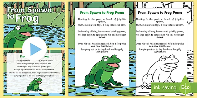 Children　English　Poem　Pack　Frog　Poem　Tadpole　for
