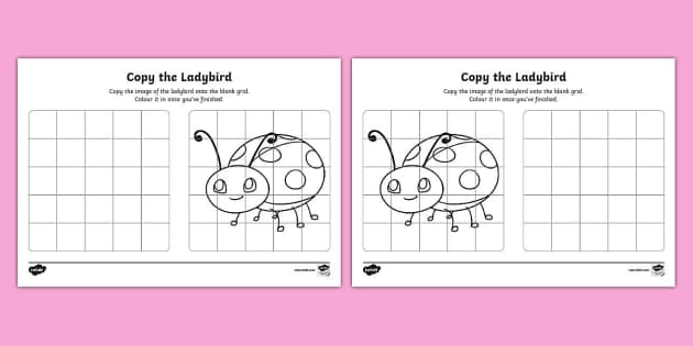 Copy the Ladybird Worksheet (teacher made) - Twinkl