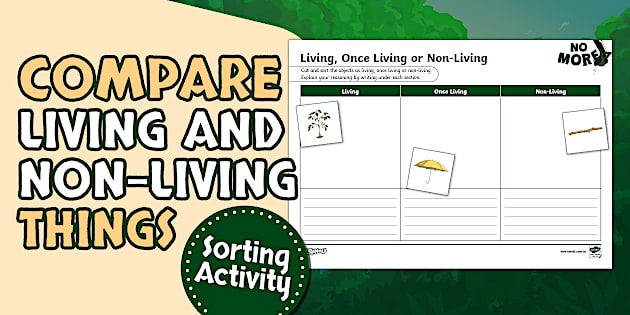 No More – Living, Once Living or Non-Living Activity