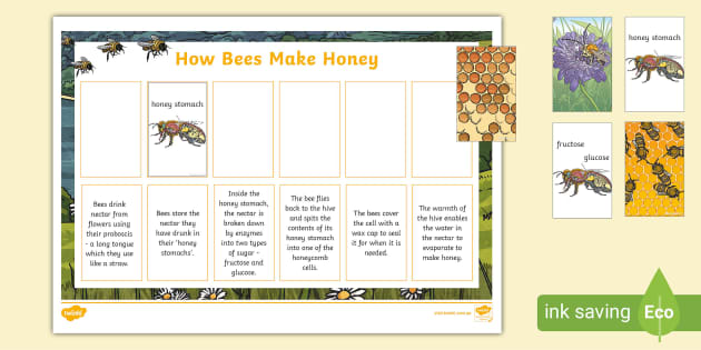 AU T 1629266474 How Bees Make Honey Ver 3 