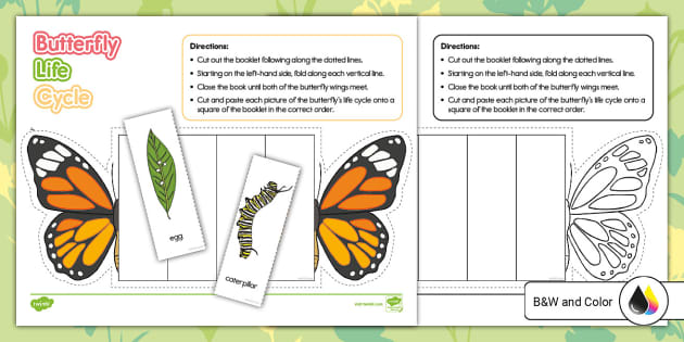 Early Childhood Butterfly Life Cycle Foldable Booklet