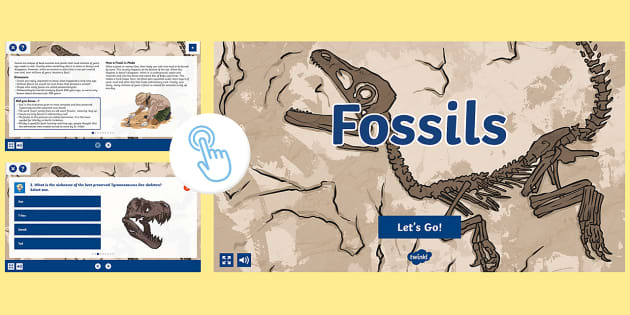 Fossils Self-Marking Reading Comprehension Activity