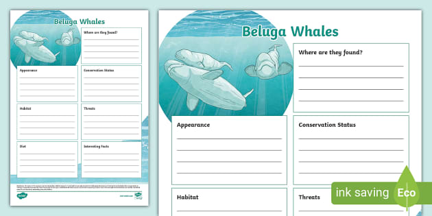 Beluga Whale Fact File Template (teacher made) - Twinkl