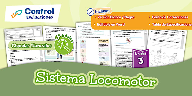 Control: Sistema Locomotor - Unidad 3 - Ciencias Naturales - 4° Básico