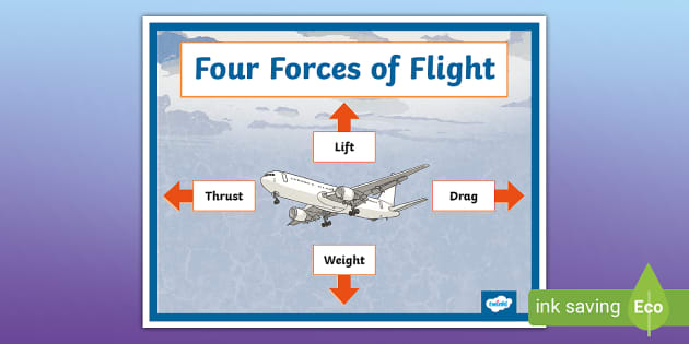 Four Forces of Flight Poster I Twinkl Canada - Twinkl