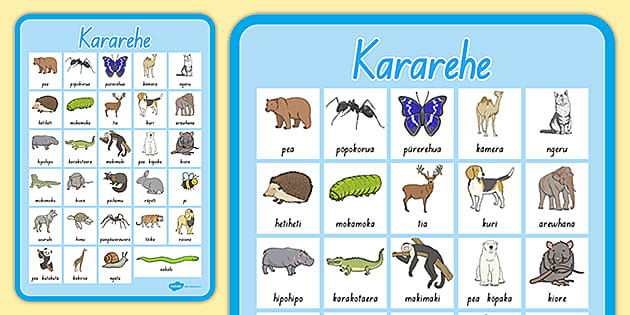 Animals Display Poster (teacher made) - Twinkl Animals Display Poster (teacher made) - Twinkl