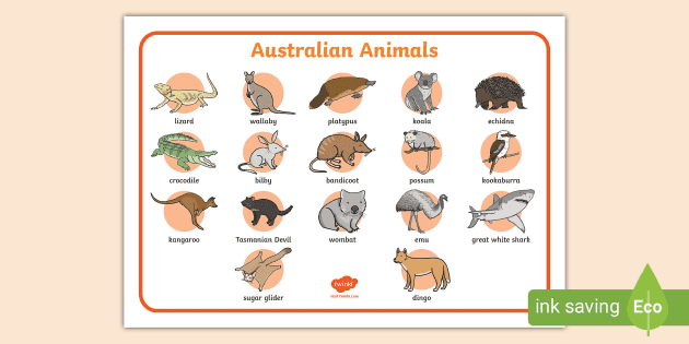 Australian Animals Word Mat (teacher made) - Twinkl