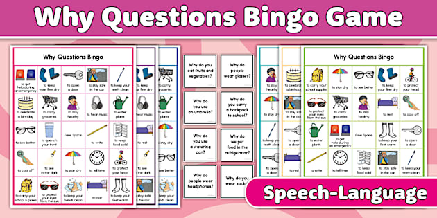 Why Questions Bingo Game for SLP