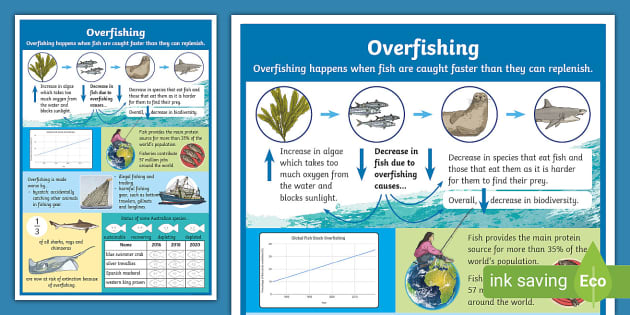 Overfishing Infographic  Sustainability Resources - Twinkl