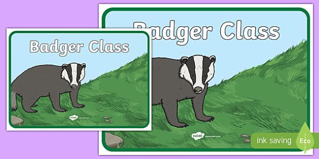 Badger Class Display Poster (teacher made) Twinkl