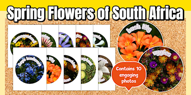 Foundation Phase Life Skills - Spring Flowers of South Africa - Circle ...