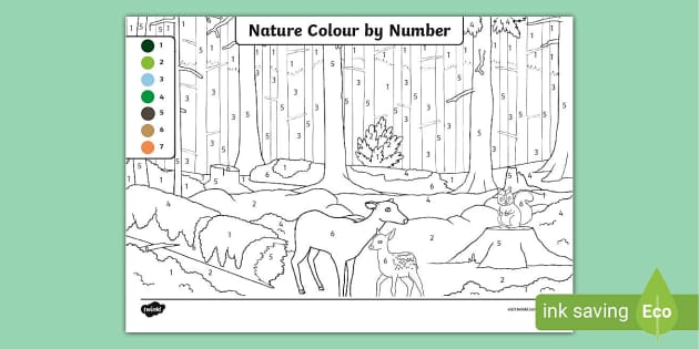 Color & Frame - Nature Adult Coloring Book India