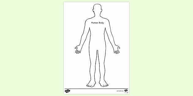 Human Body Outline Printable