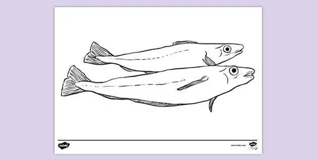 FREE! - Whiting Fish Colouring Sheet | Colouring Sheets