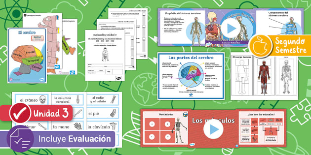 Pack Ciencias Naturales 4º Básico Unidad 3 Twinkl