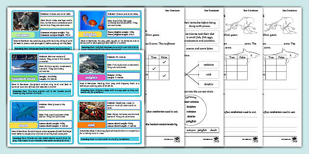 Sea Animals, Facts & Types - Video & Lesson Transcript