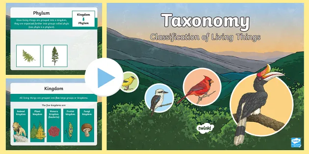 Taxonomy for Animals and More PowerPoint | Science | Twinkl