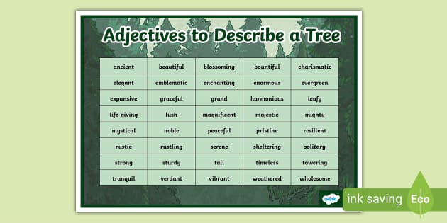 Adjectives to Describe a Tree Word Mat (teacher made)