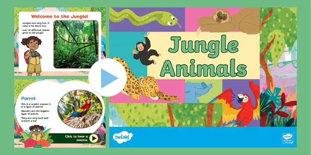 EYFS Jungle Animal Sounds for Kids PowerPoint (teacher made)