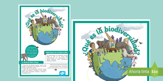 ¿Qué es la biodiversidad? Afiche Escolar - Twinkl Colombia