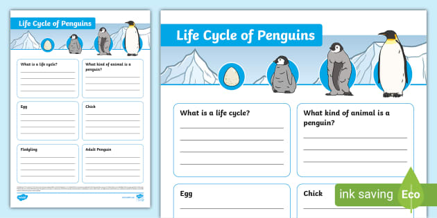 Penguin Life Cycle Fact File Template (teacher made)