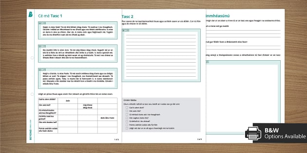 Cé mé? - Activity Sheet | Junior Cycle | Junior Cert