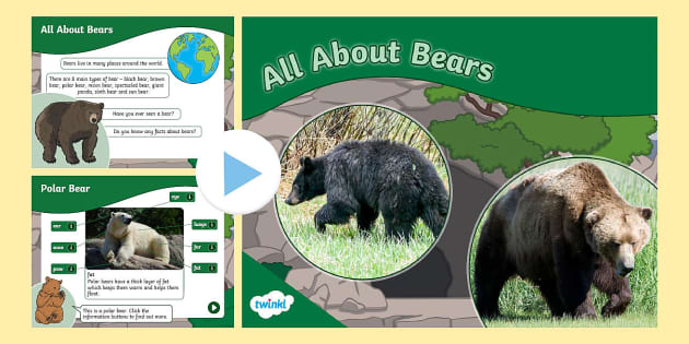 EYFS All About Bears | PowerPoint | Twinkl - Twinkl