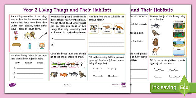 habitats homework year 2