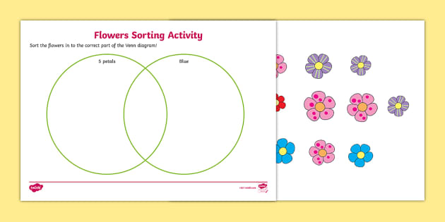 venn diagram flower sorting worksheet math resource twinkl
