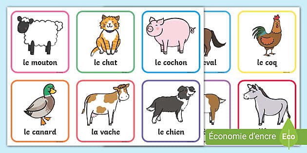 Cartes pour jeu de paires : Les animaux (teacher made)