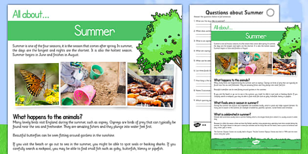 summer comprehension differentiated worksheet worksheet pack