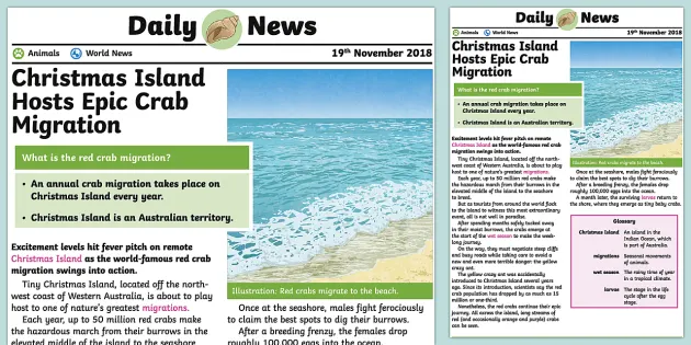 Uks2 Red Crab Migration Daily News Story Teacher Made